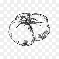 手绘番茄-空若网 手绘番茄-空若网