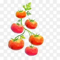 �ֻ�������-������