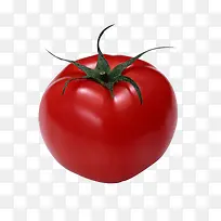 西红柿-空若网 西红柿-空若网