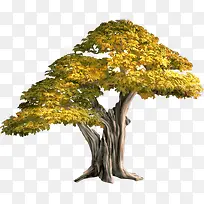 ˮ�ʴ���-������