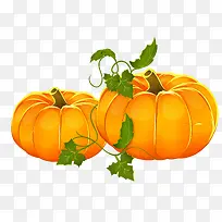 �ֻ��ϹϹ���Ҷ��-������