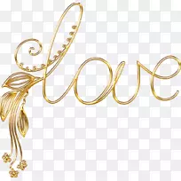 ��ӵ�������������-��������-������