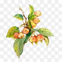 ˮ��ʯ��-������