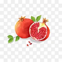 水彩石榴-空若网 水彩石榴-空若网