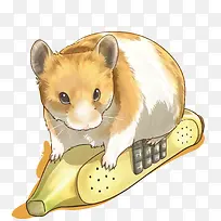 矢量水彩仓鼠-空若网 矢量水彩仓鼠-空若网