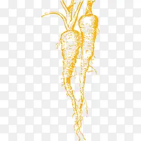 橘色的手绘卡通胡萝卜-空若网 橘色的手绘卡通胡萝卜-空若网