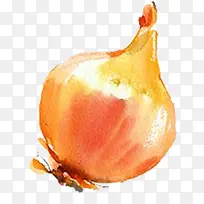 手绘水彩切好的蔬菜洋葱-空若网 手绘水彩切好的蔬菜洋葱-空若网