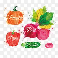 �ֻ��߲˺��ܲ� �Ϲ�����-������