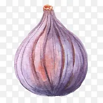 Ë®²Ê»Ò¶×Ó-¿ÕÈôÍø Ë®²Ê»Ò¶×Ó-¿ÕÈôÍø