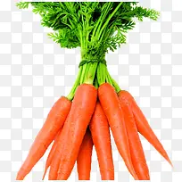 蔬菜卡通蔬菜 红萝卜-空若网 蔬菜卡通蔬菜 红萝卜-空若网