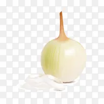 一个洋葱-空若网 一个洋葱-空若网