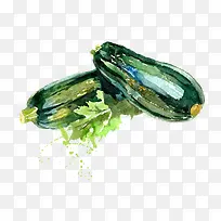 矢量绿色水彩手绘蔬菜西葫芦-空若网 矢量绿色水彩手绘蔬菜西葫芦-空若网