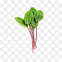 ��ҶͼƬ-������