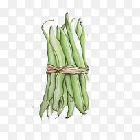豇豆手绘画素材图片-空若网 豇豆手绘画素材图片-空若网