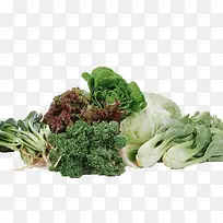 ʳ�￨ͨ��ͨʳ���ز� �����߲�-������