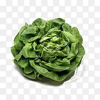 ���Ĳ�-������