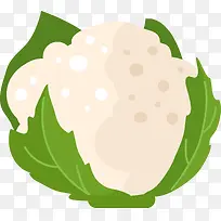 矢量水果蔬菜素材卷心菜-空若网 矢量水果蔬菜素材卷心菜-空若网