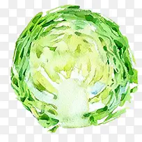 手绘水彩切好的蔬菜素材白菜-空若网 手绘水彩切好的蔬菜素材白菜-空若网