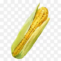 手绘水彩切好的蔬菜素材玉米-空若网 手绘水彩切好的蔬菜素材玉米-空若网
