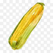 ÊÖ»æË®²ÊÇкõÄÊß²ËËØ²ÄÓñÃ×-¿ÕÈôÍø ÊÖ»æË®²ÊÇкõÄÊß²ËËØ²ÄÓñÃ×-¿ÕÈôÍø