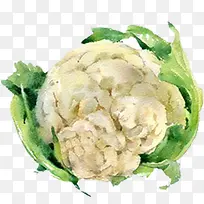 ÊÖ»æË®²ÊÇкõÄÊß²ËËØ²Ä¾íÐIJË-¿ÕÈôÍø ÊÖ»æË®²ÊÇкõÄÊß²ËËØ²Ä¾íÐIJË-¿ÕÈôÍø