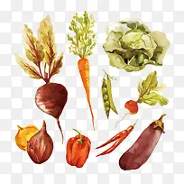 矢量各种蔬菜-空若网 矢量各种蔬菜-空若网