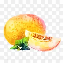 水彩哈蜜瓜矢量素材-空若网 水彩哈蜜瓜矢量素材-空若网