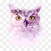 手绘水彩猫头鹰头像-空若网 手绘水彩猫头鹰头像-空若网