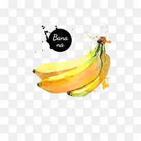 香蕉-空若网 香蕉-空若网
