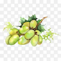 â¹ûË®²ÊPNGʸÁ¿ËزÄ-¿ÕÈôÍø â¹ûË®²ÊPNGʸÁ¿ËزÄ-¿ÕÈôÍø