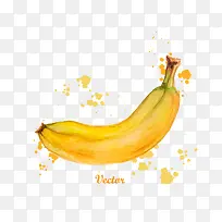 矢量水彩香蕉素材-空若网 矢量水彩香蕉素材-空若网