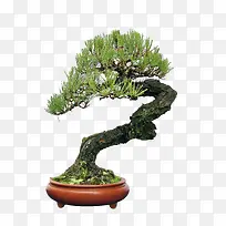 ����ֲ��ͼƬ-������