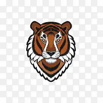 ��ͨ�ϻ�-������