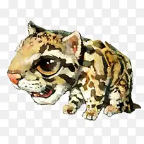 �ֻ��ϻ�-������