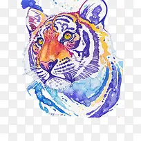 插画-空若网 插画-空若网