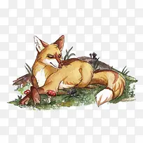 ʸÁ¿Ë®²Ê¶¯ÎïºüÀê-¿ÕÈôÍø ʸÁ¿Ë®²Ê¶¯ÎïºüÀê-¿ÕÈôÍø