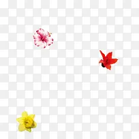 简约小花小草-空若网 简约小花小草-空若网