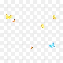 多彩蝴蝶-空若网 多彩蝴蝶-空若网