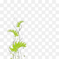 漂浮小草-空若网 漂浮小草-空若网