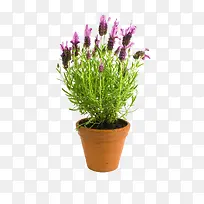 ޹�²�����-������