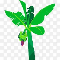 纯绿色卡通矢量香蕉树-空若网 纯绿色卡通矢量香蕉树-空若网