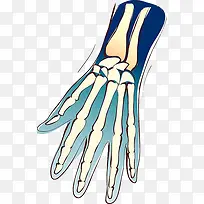 手绘手骨头-空若网 手绘手骨头-空若网