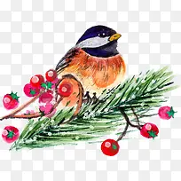 圣诞节彩绘小鸟-空若网 圣诞节彩绘小鸟-空若网