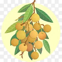 夏季龙眼水果手绘插画-空若网 夏季龙眼水果手绘插画-空若网