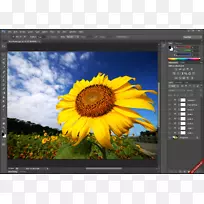 数码摄影总监摄影电脑软件-Photoshop-空若网 数码摄影总监摄影电脑软件-Photoshop-空若网