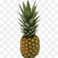 水果 波罗 黄色-空若网 水果 波罗 黄色-空若网