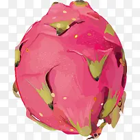 火龙果装饰设计矢量-空若网 火龙果装饰设计矢量-空若网