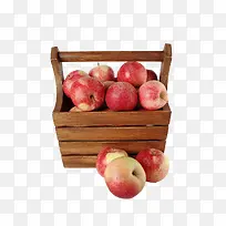 һ����ƻ��-������