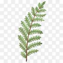 水彩树梢-空若网 水彩树梢-空若网