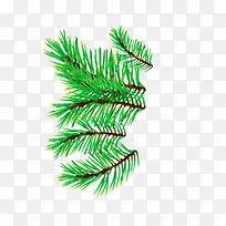绿色圣诞节松枝树梢-空若网 绿色圣诞节松枝树梢-空若网